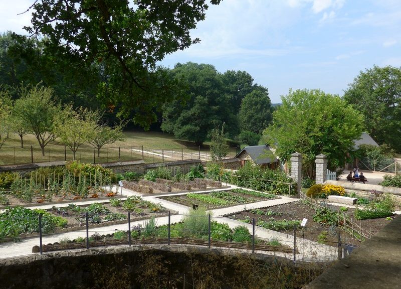 domaine du gasseau jardin