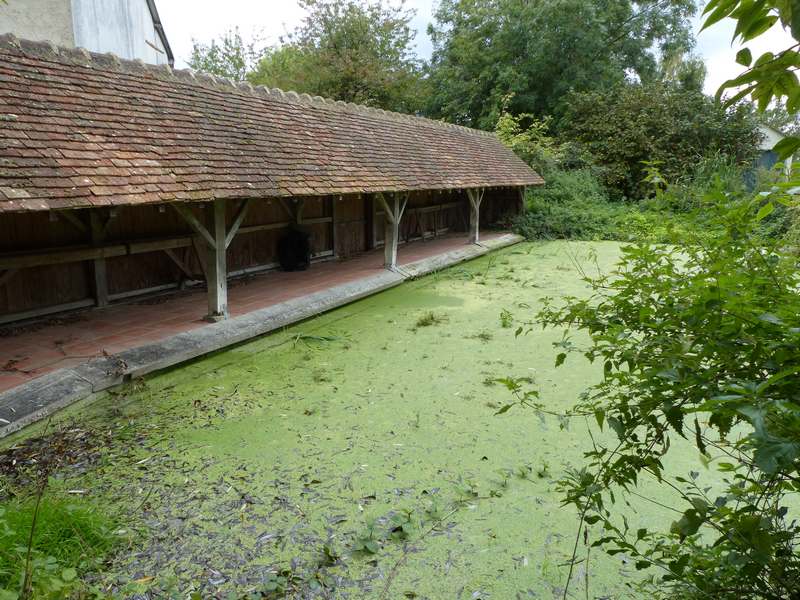 asse-le-riboul