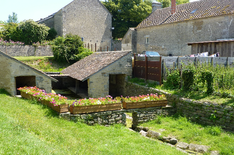 lavoir oisseau le petit