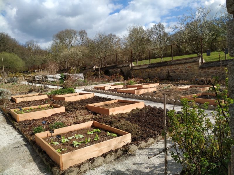 Jardin